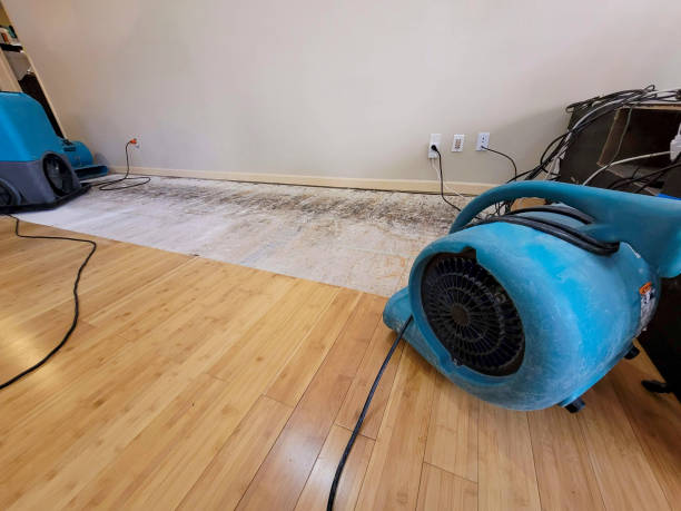 Professional Basement Flood Cleanup technician working in Holt, MI